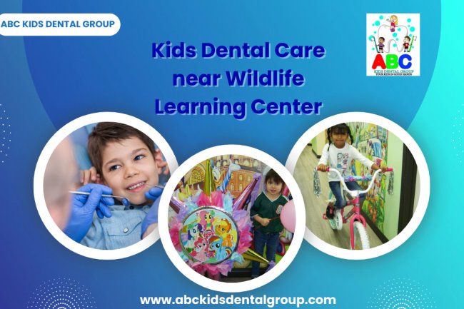 Kids Dental Care near Wildlife Learning Center